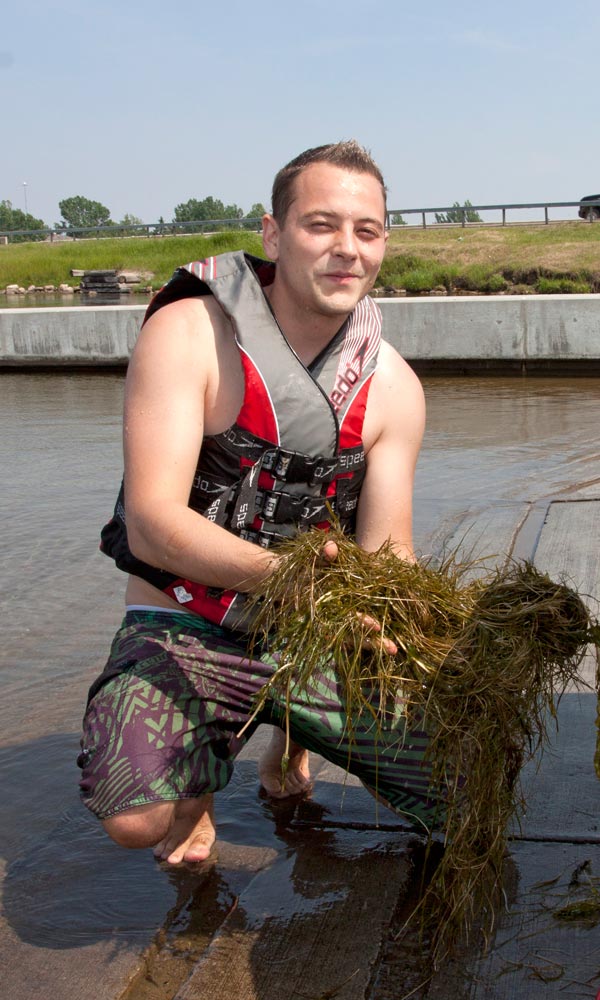 Seaweed caught in the propeller