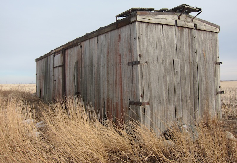 CP Grain car circa 1906