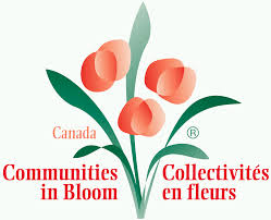 communities in bloom