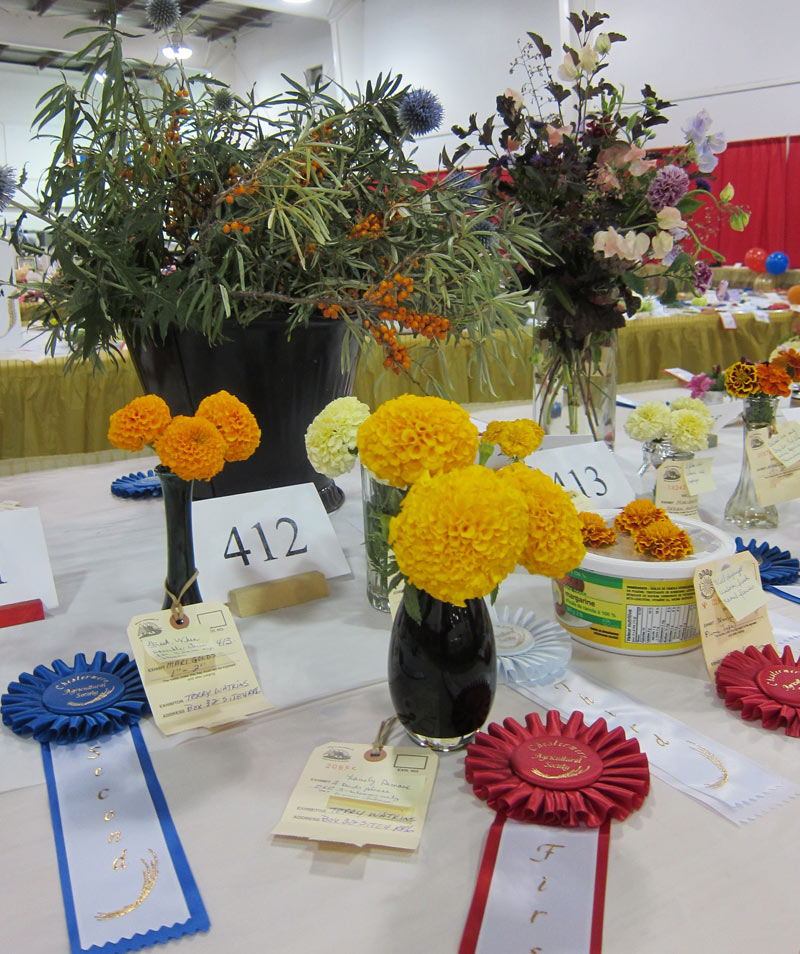 Garden-Competition-2011