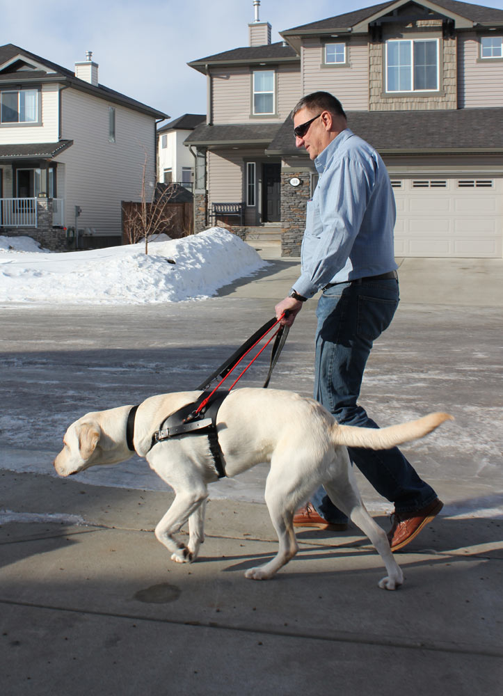 WalkerGuideDog_002