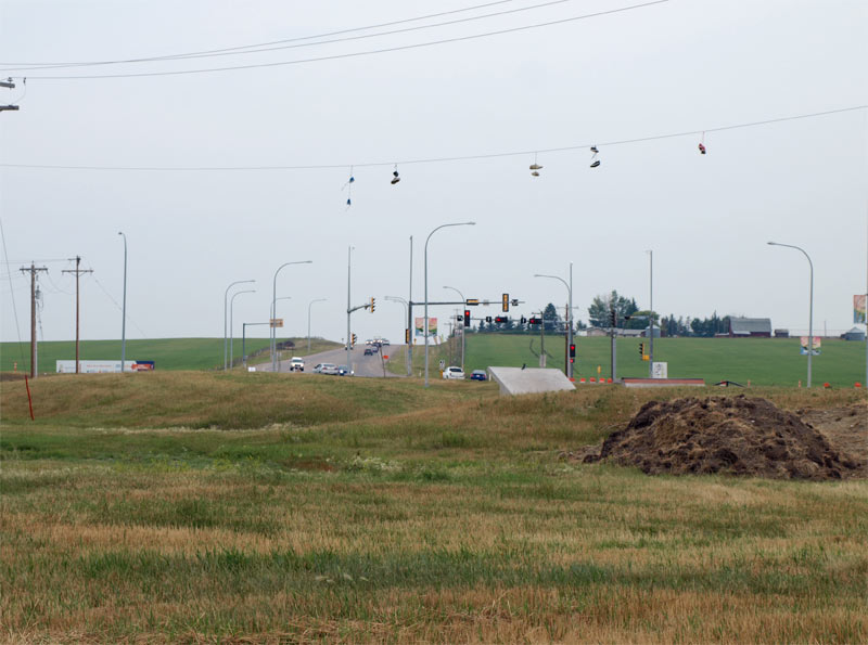 Decorations-for-the-New-Skateboard-Park