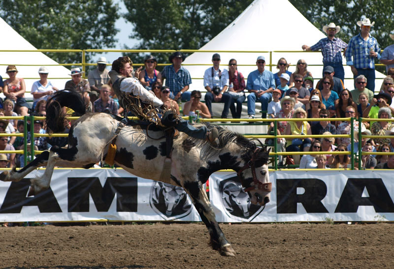 Strathmore_Rodeo03