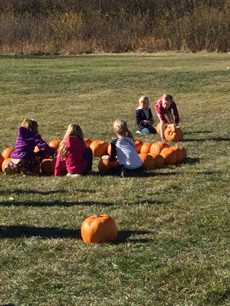 8th annual chestermere lions pumpkin patch_001