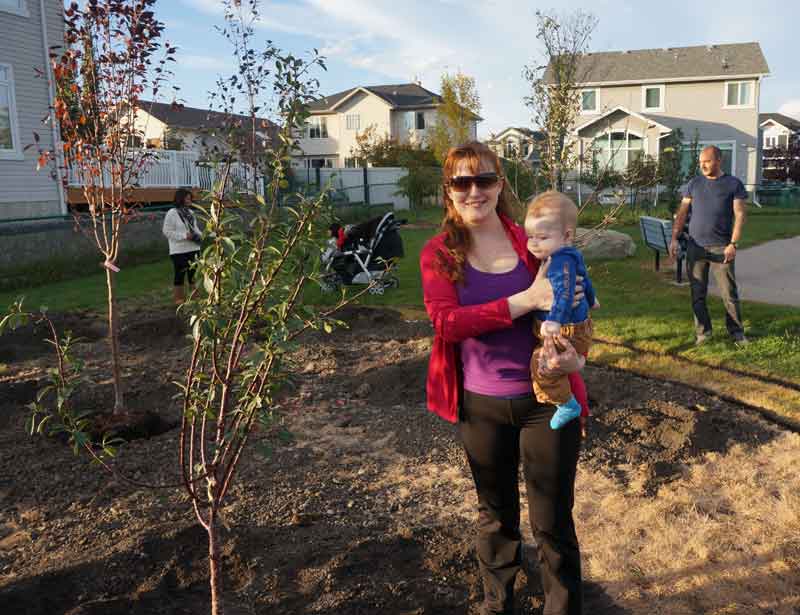 beautiful-trees-showing-growth-in-chestermere_002