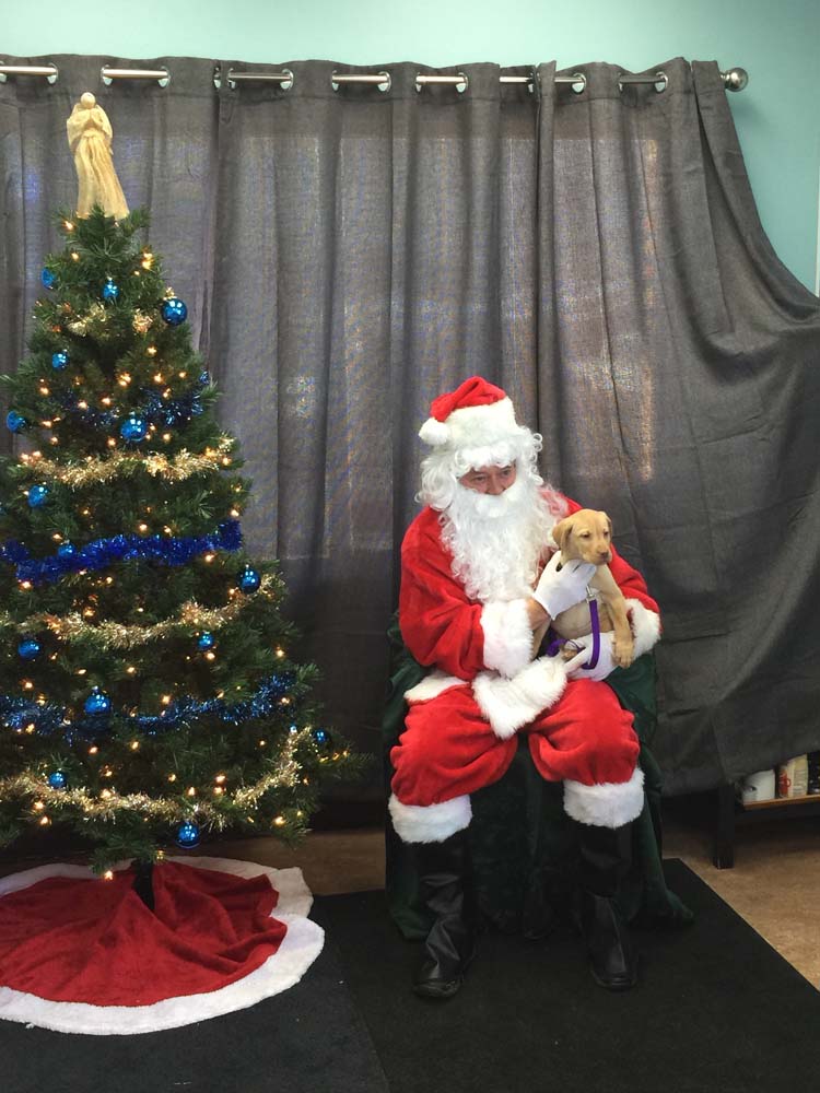 santa comes to visit the pets of chestermere_002
