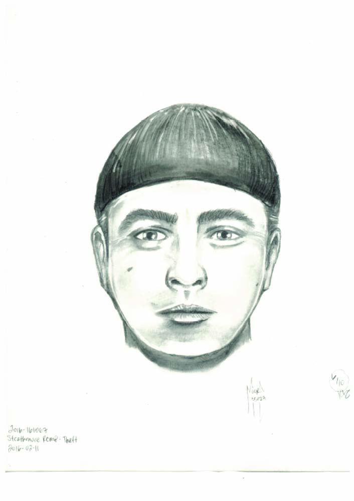 rcmp starthmore 2016-161067, DIAMOND, Theft, Composite Sketch_3_1