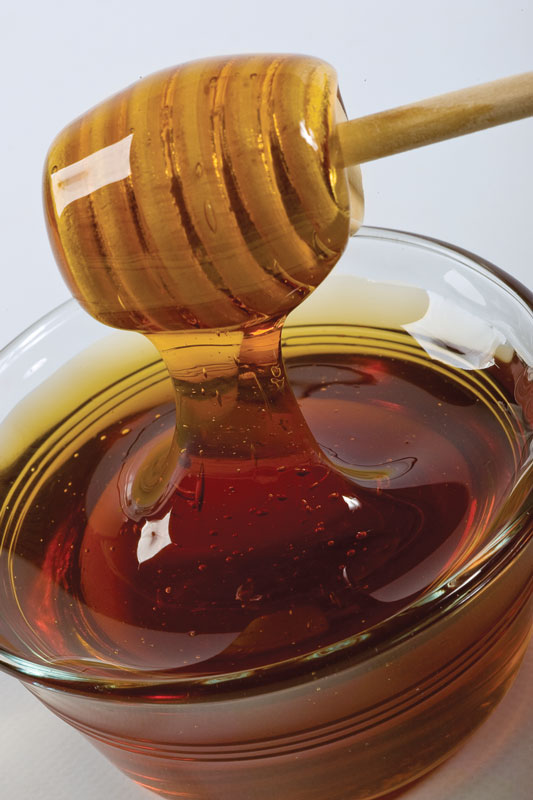 honey-N0909P67027C