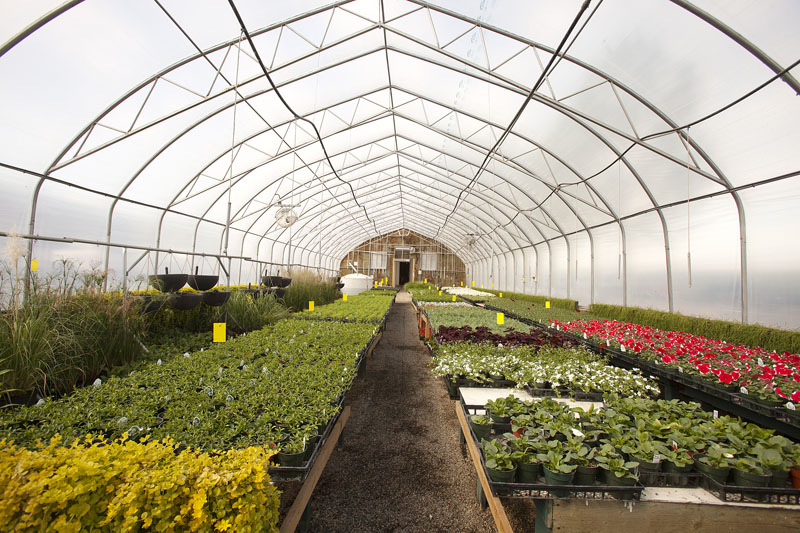 Greenhouse_MG_1199