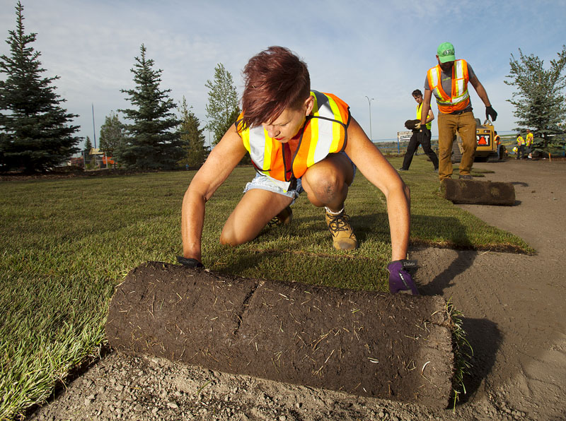 Laying Sod_MG_2745