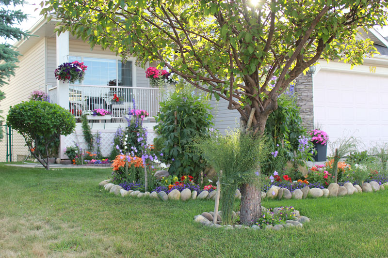 chestermere bloom 147 Cove Drive