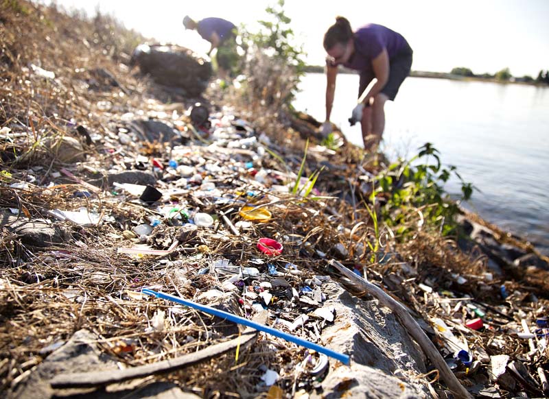 Lakeshore Cleanup_MG_3251