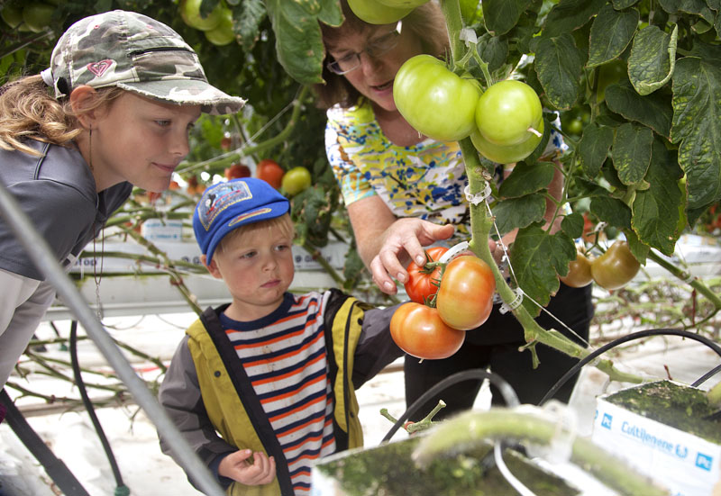 Open Farm Days