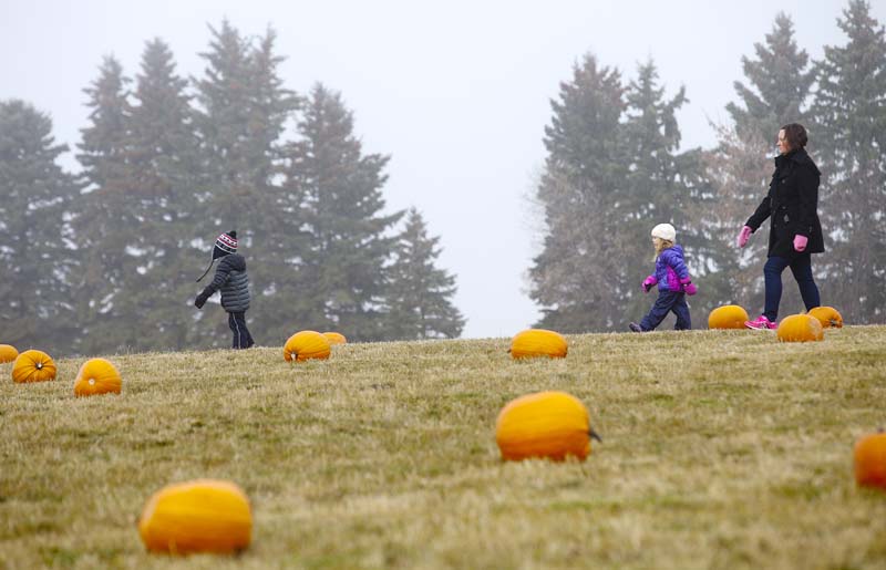 Pumpkin Patch_MG_7808