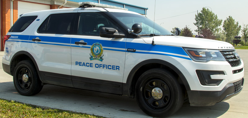 peace officers Pack the Patrol Car_1573