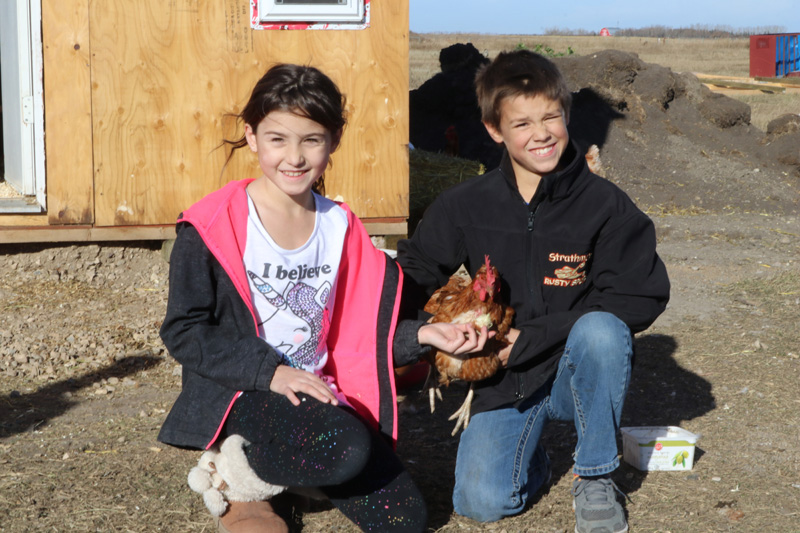 Chickens teaching responsibility photo 1