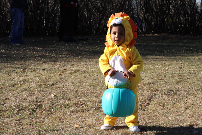 Halloween connceting families photo 2