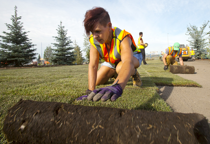 Cornerstone Community Park Laying Sod_MG_2747