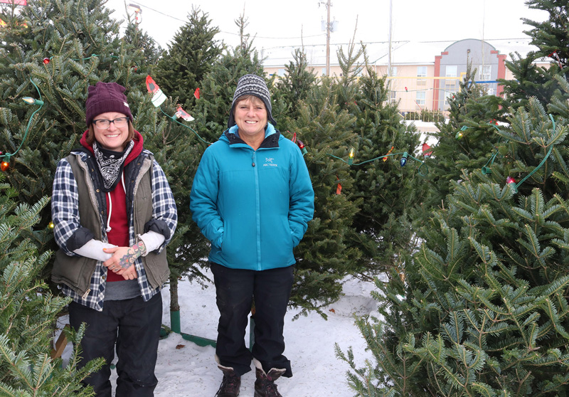 a push for real christmas trees pic 1