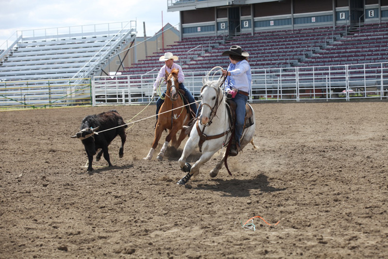 Tomorrow’s rodeo stars competing in Strathmore High School Rodeo pic 2