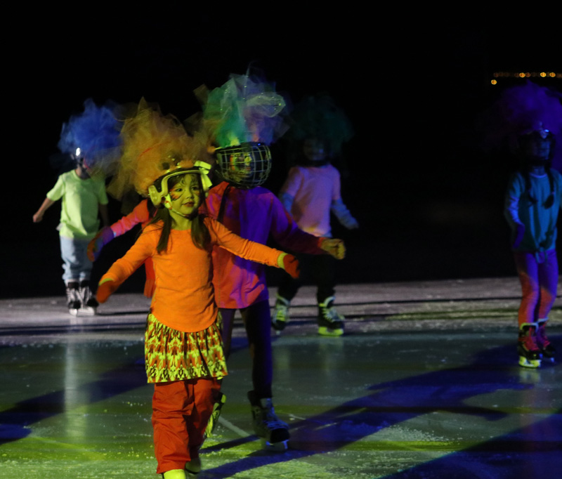 ice show pic 1