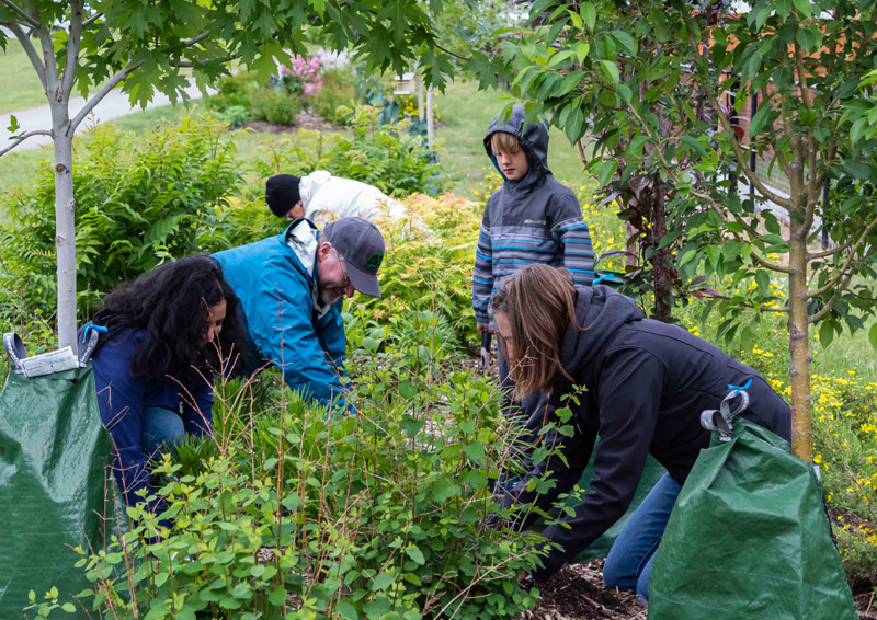 national pollinator week pic 2