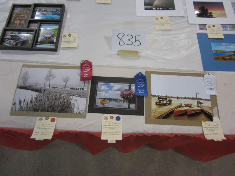 Photography Competition IMG_6785