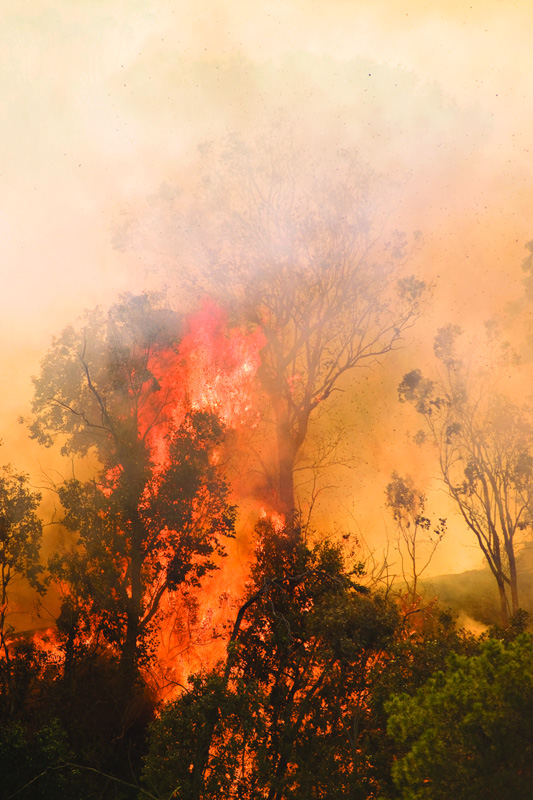 warm autumn wildfire N1101P38005C