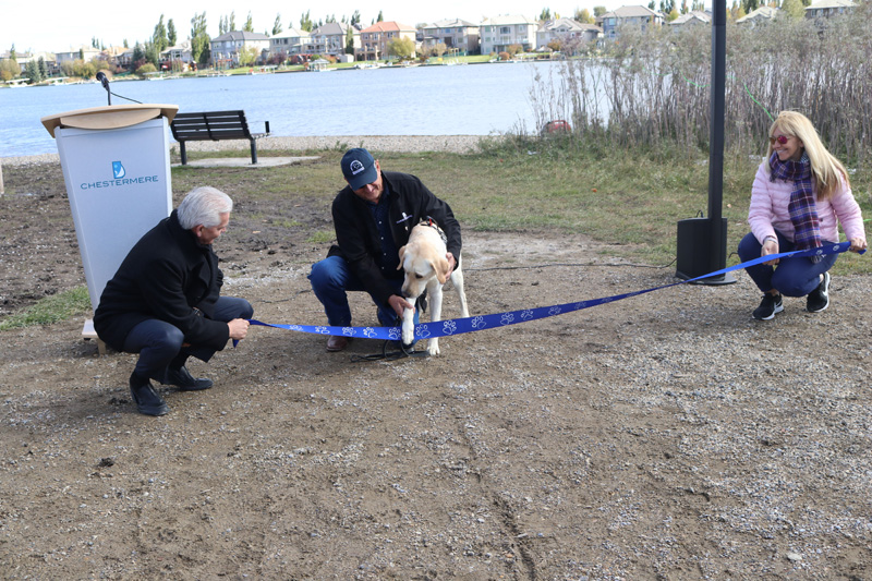 Local pups recognized during Chestermere Dog Day pic 1