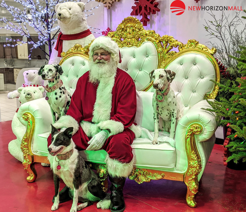 Calgary’s most festive dogs showed off their holiday costumes in support of ARTS Senior Animal Rescue pic 3