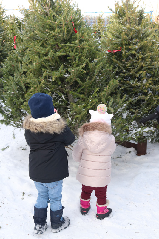 Hunting for candy canes in support of the community pic 1