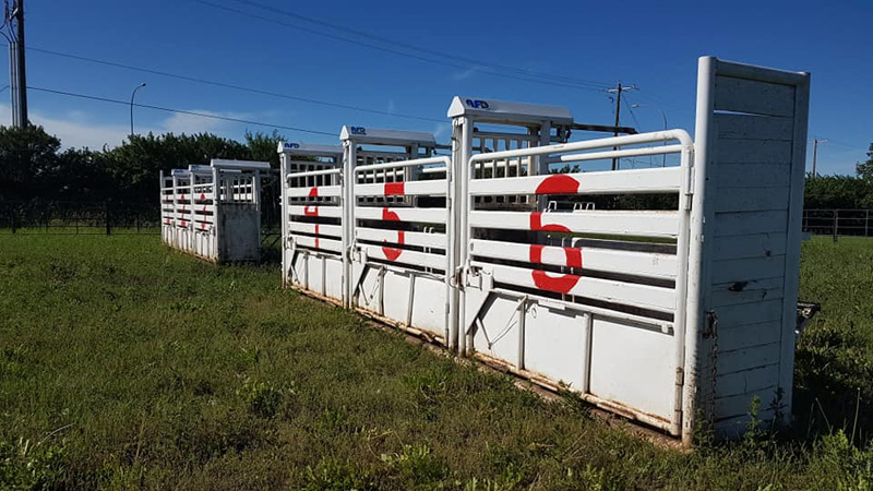 Chestermere Agricultural Society purchases bucking chutes pic 4