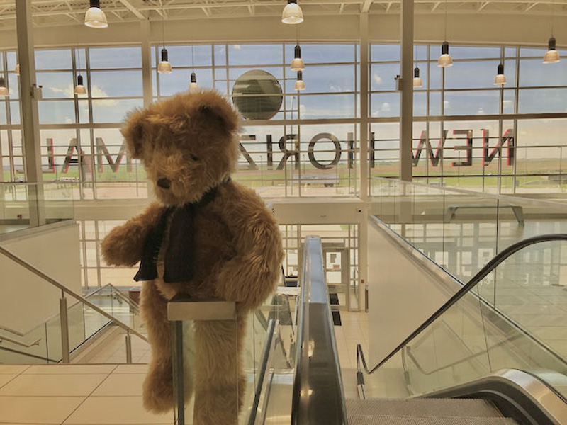 First annual Teddy Bear Scavenger Hunt receives overwhelming support from families pic 2
