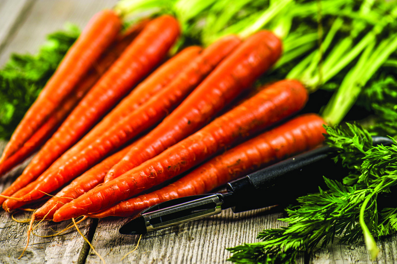 preston carrots N1706P64007C