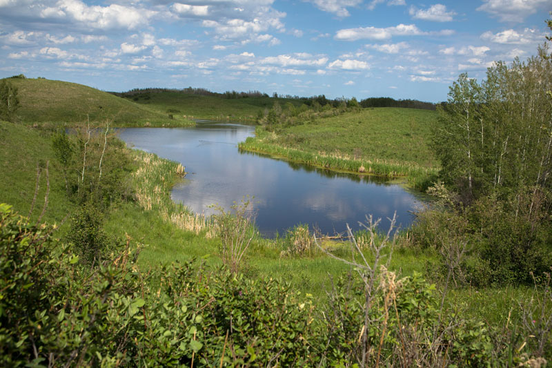 Saving wetlands is a resolution Canada must keep pic 1