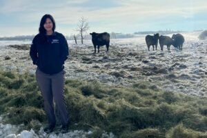 New research to help beef producers cope with extreme climates