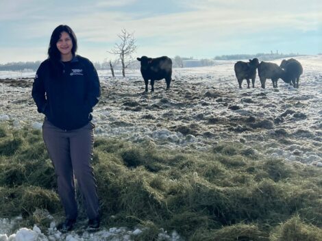 New research to help beef producers cope with extreme climates