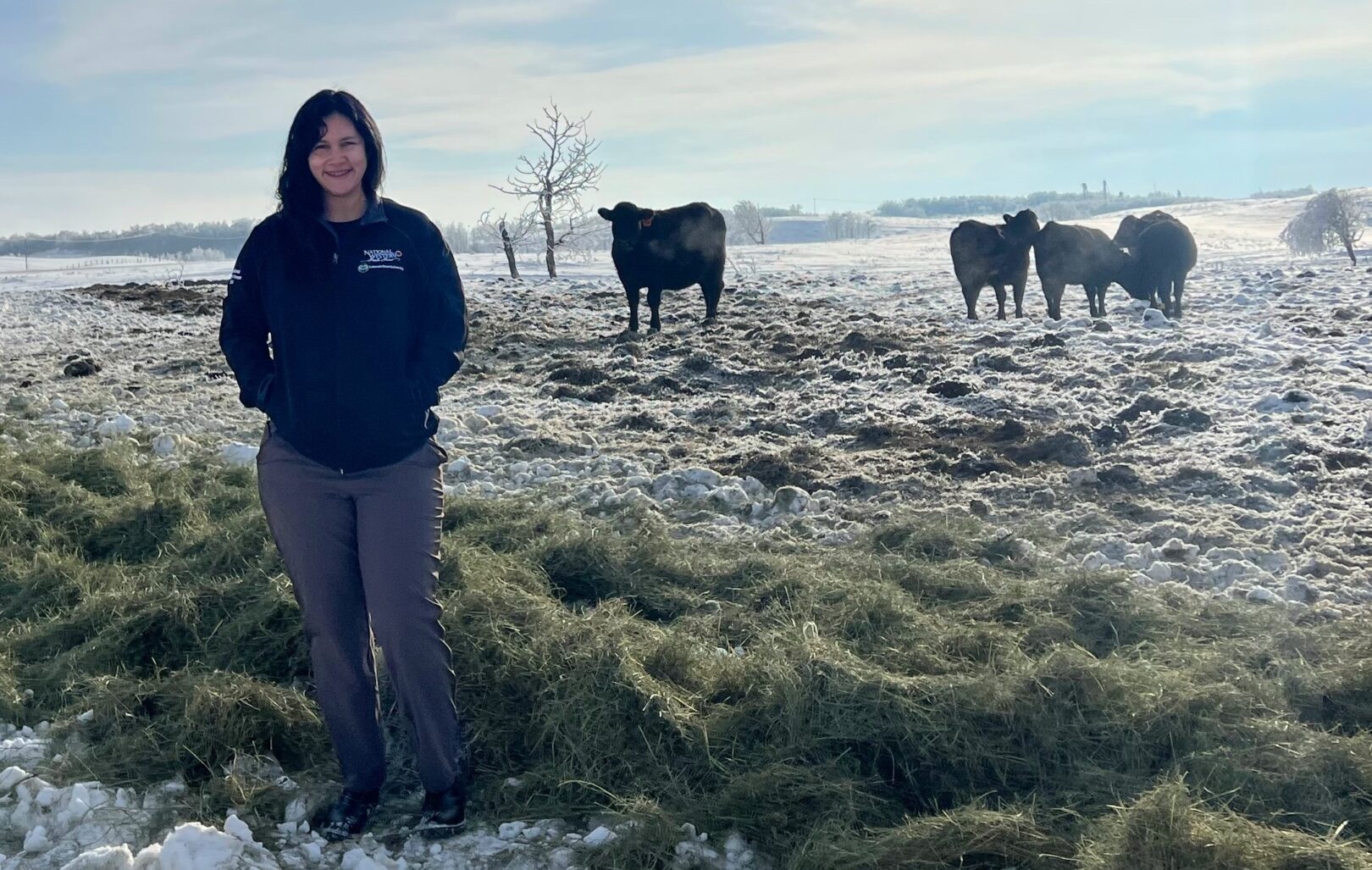 New research to help beef producers cope with extreme climates