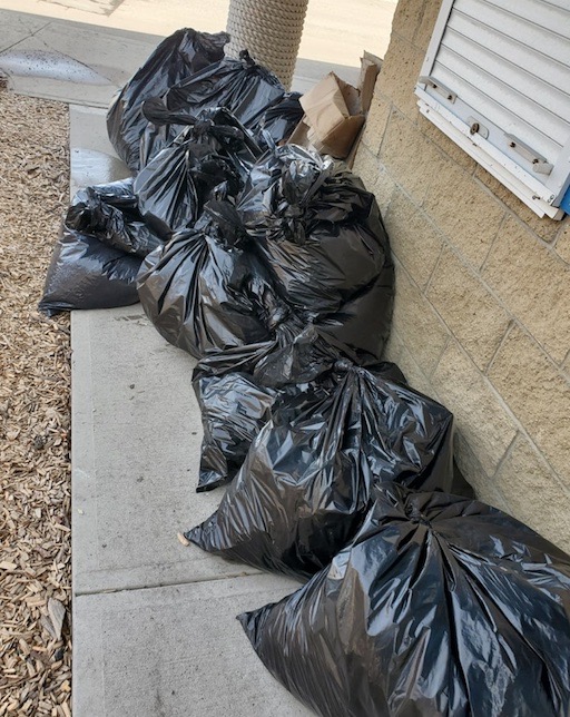 Chestermerians clean up the lake for Earth Day pic 2