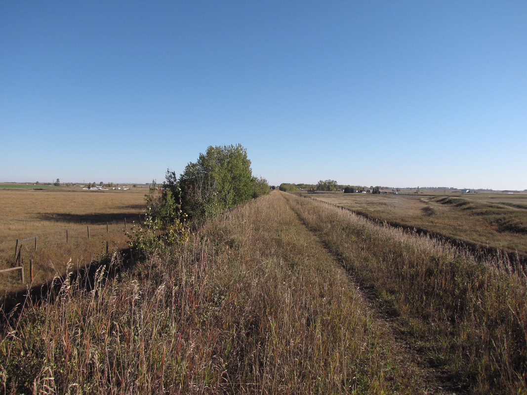 Trail linking Irricana and Beiseker officially opens pic 2