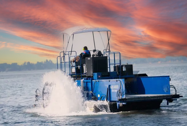 Why We Think You Should Live in Chestermere